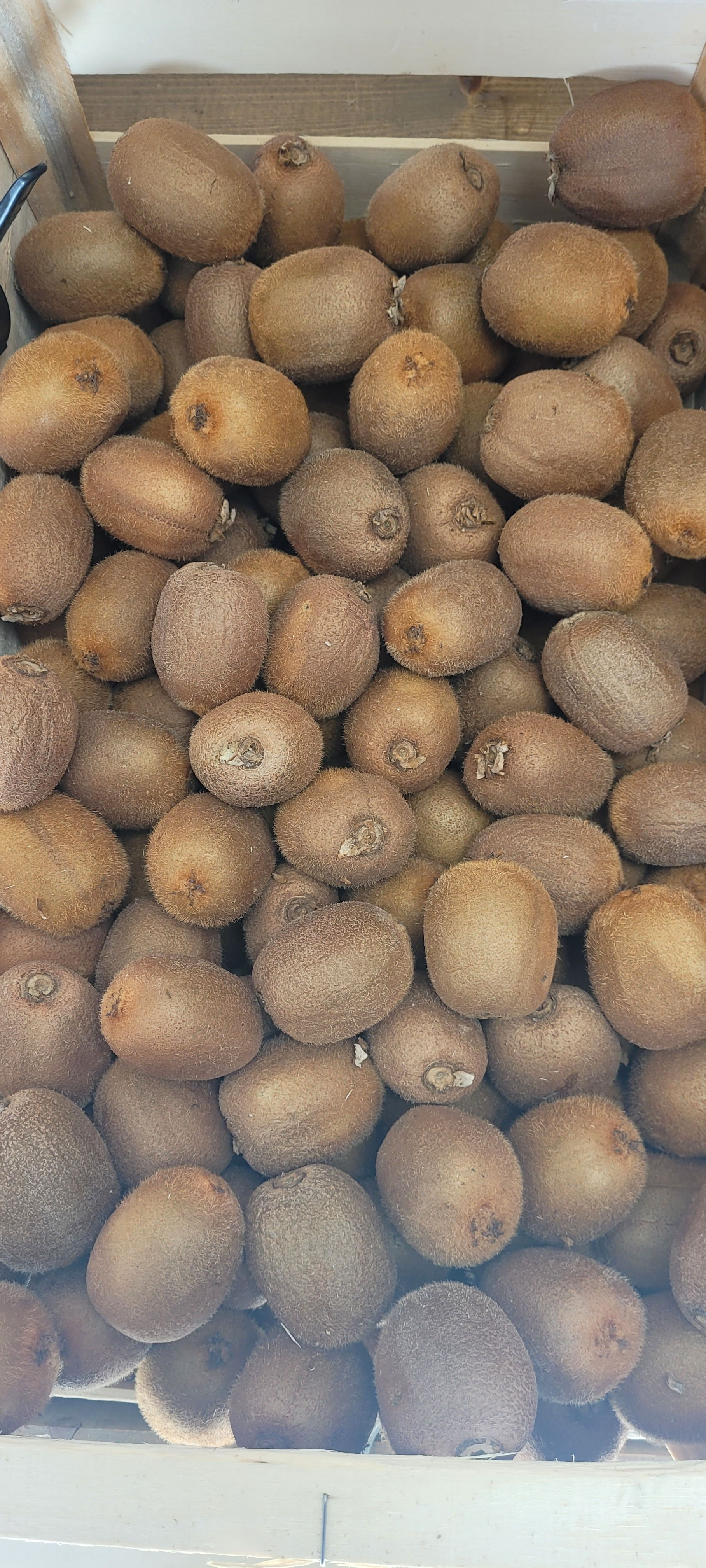 KIWI (petit calibre fin de saison) - 1kg