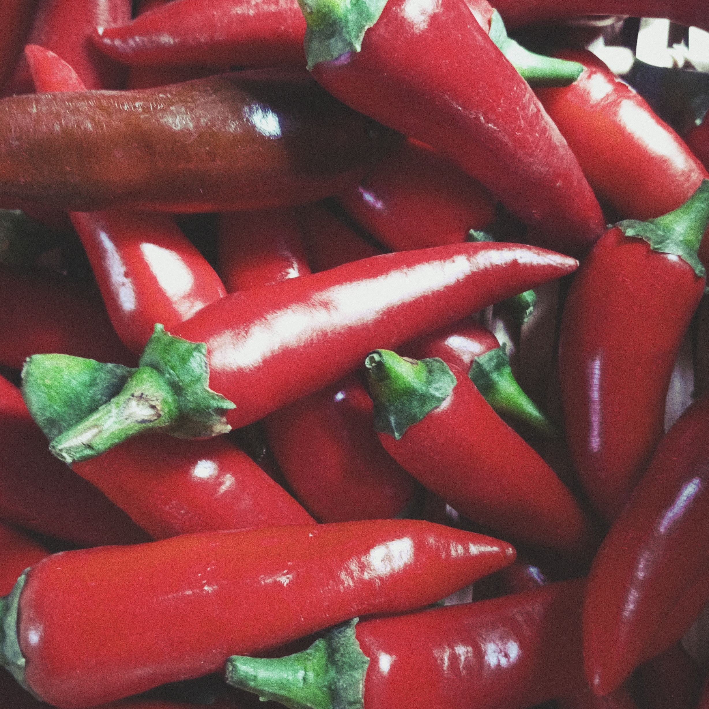 Piment bio