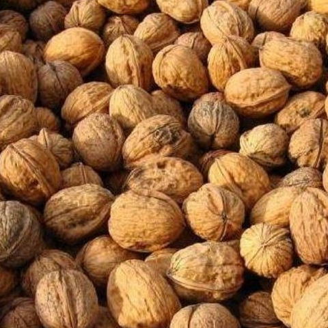 Noix sèche - 500g