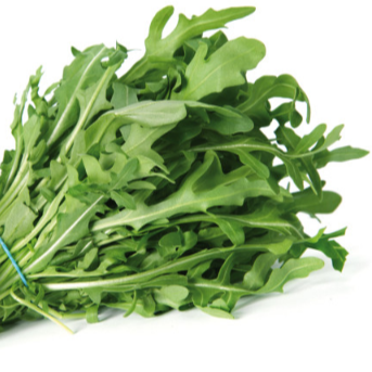 Roquette - 200g