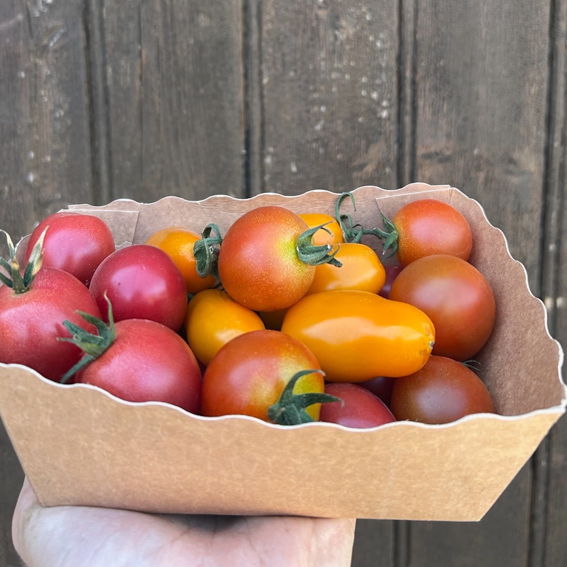 Tomate cerise - 500g