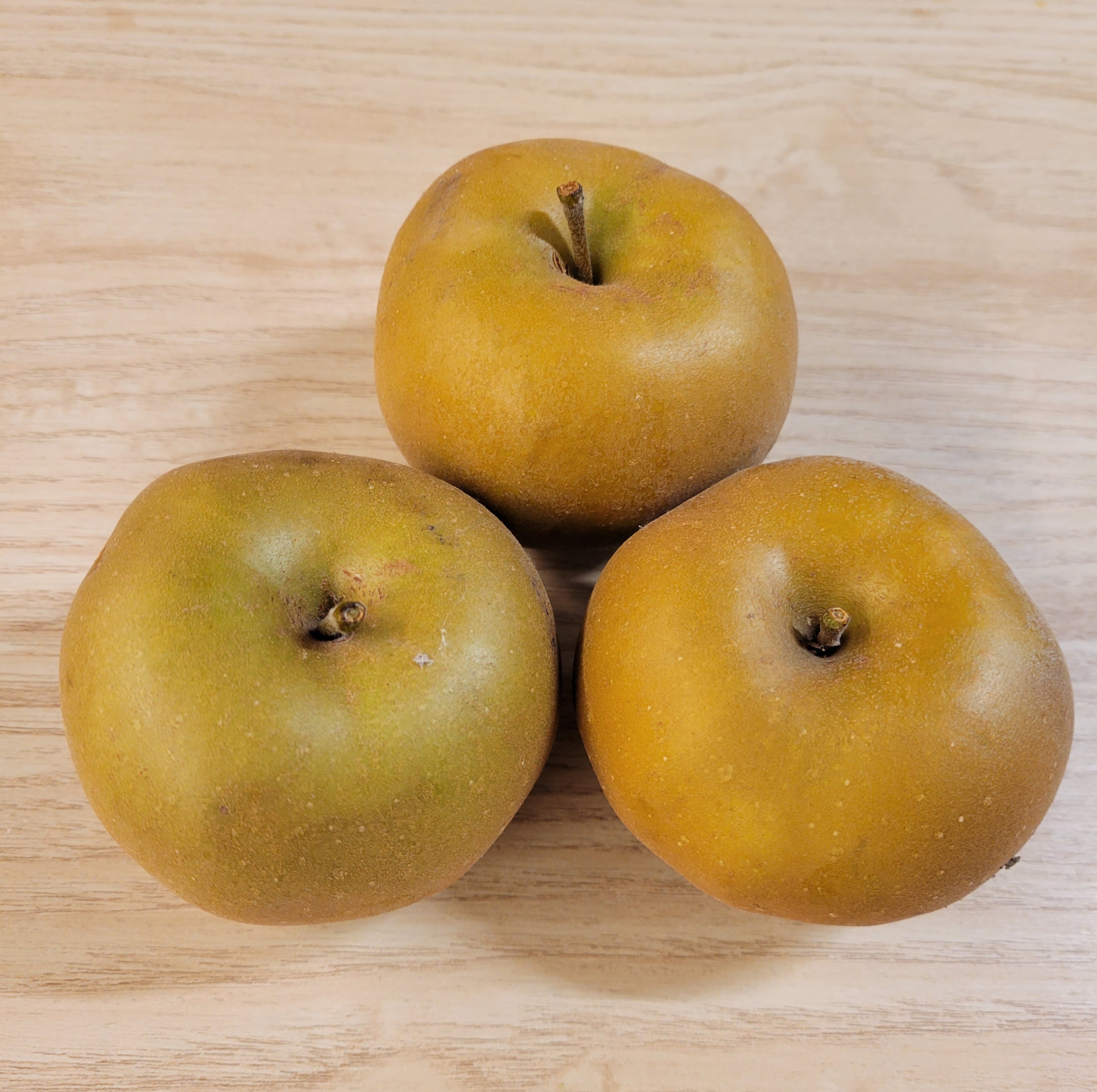 Pomme Reinette du Canada