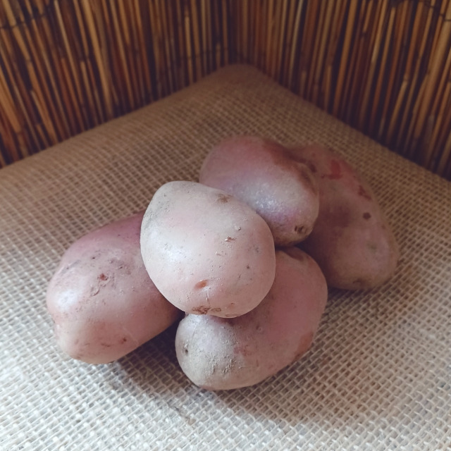 Pomme De Terre CHAIR Fondante - CDP