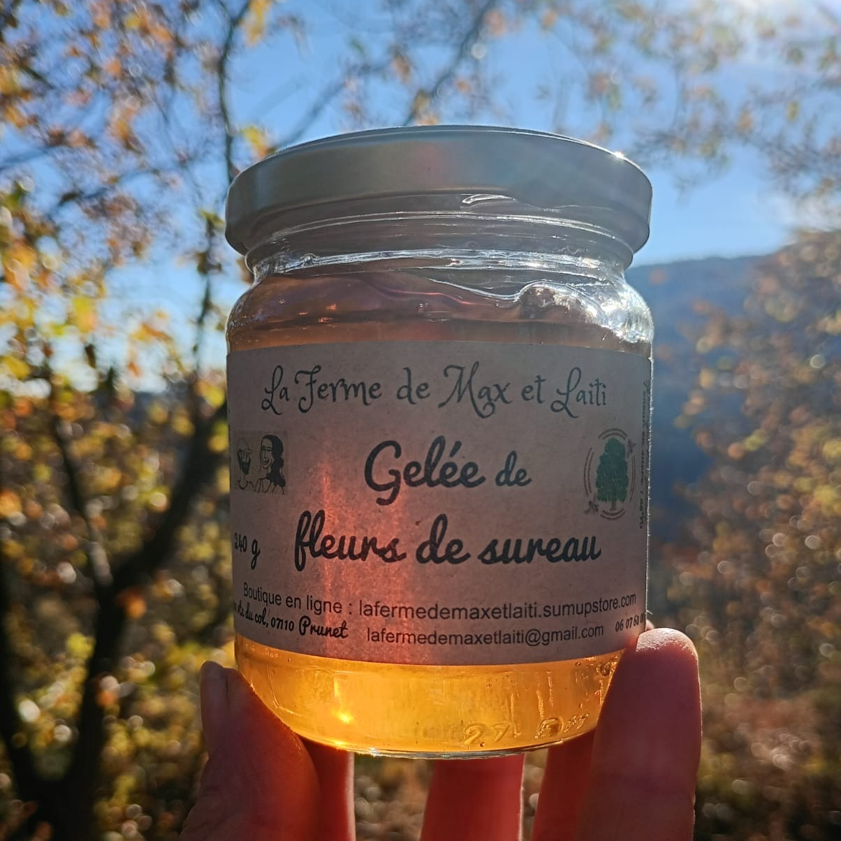 Gelée de fleurs de sureau