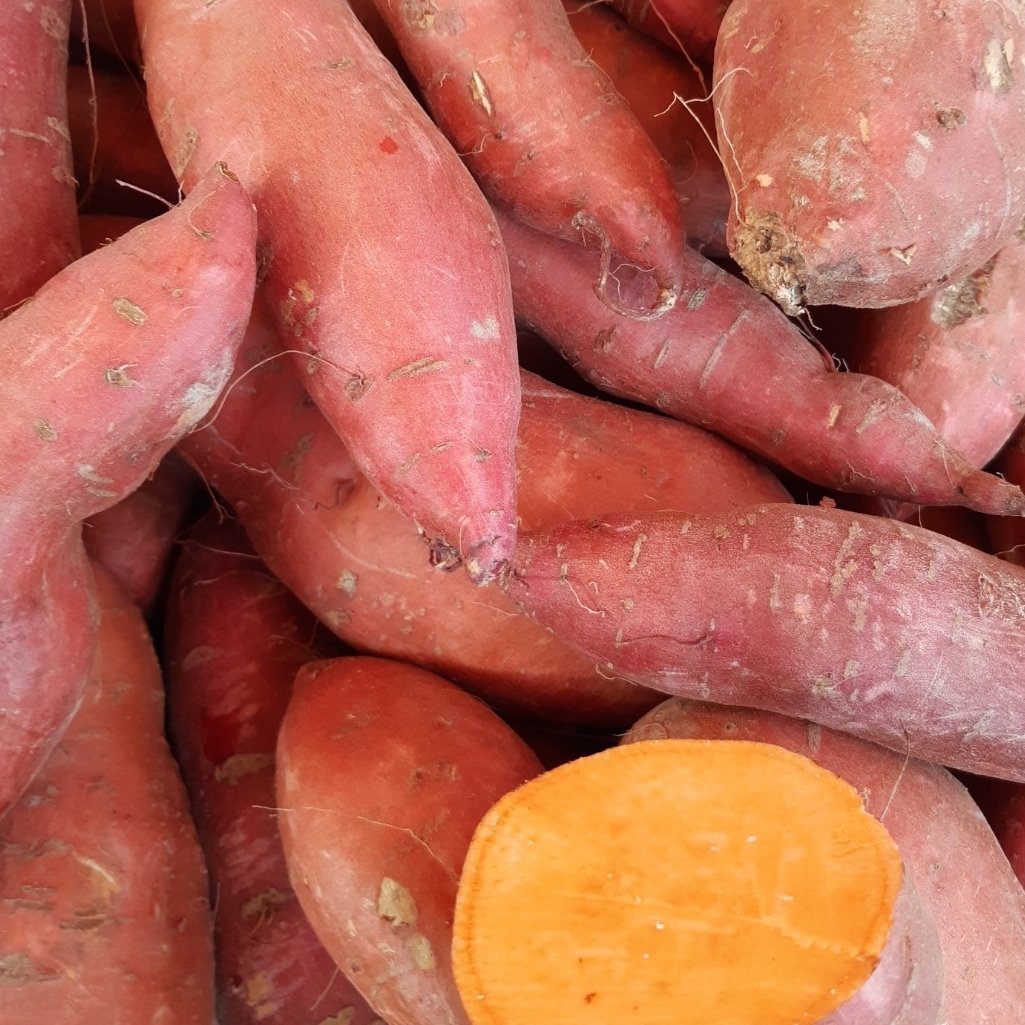 PATATE DOUCE CHAIR ORANGE