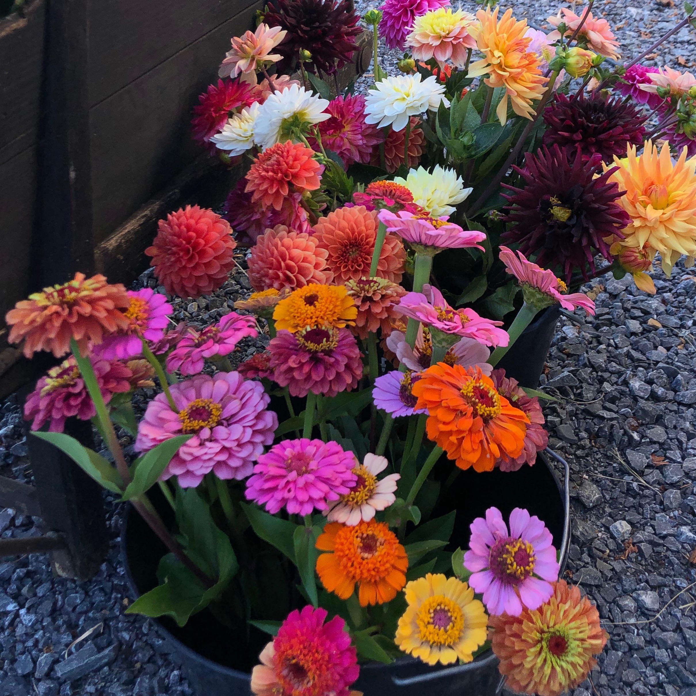 Seaux de fleurs en vrac