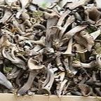 champignon trompettes de la mort - 1kg