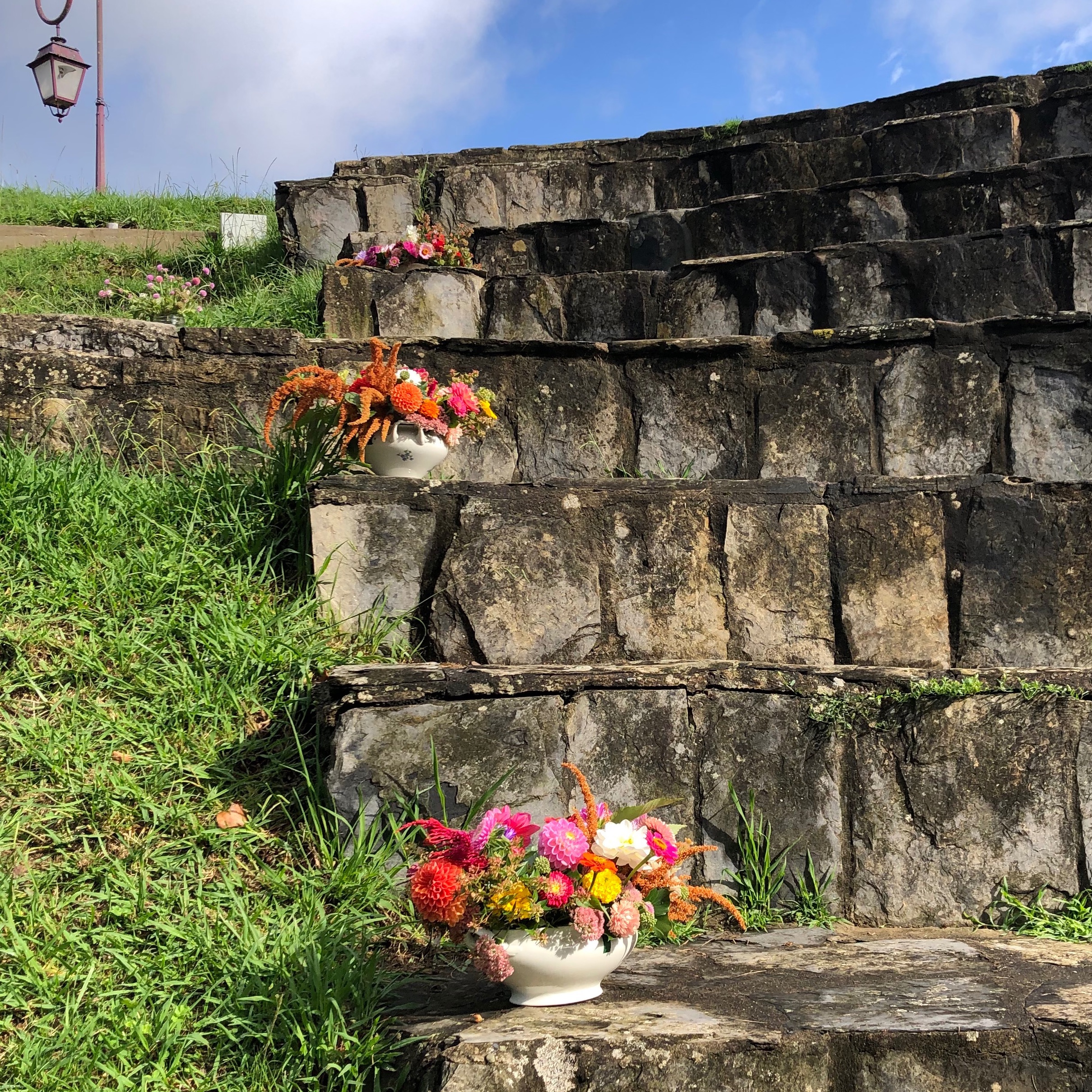 Composition florale à partir de