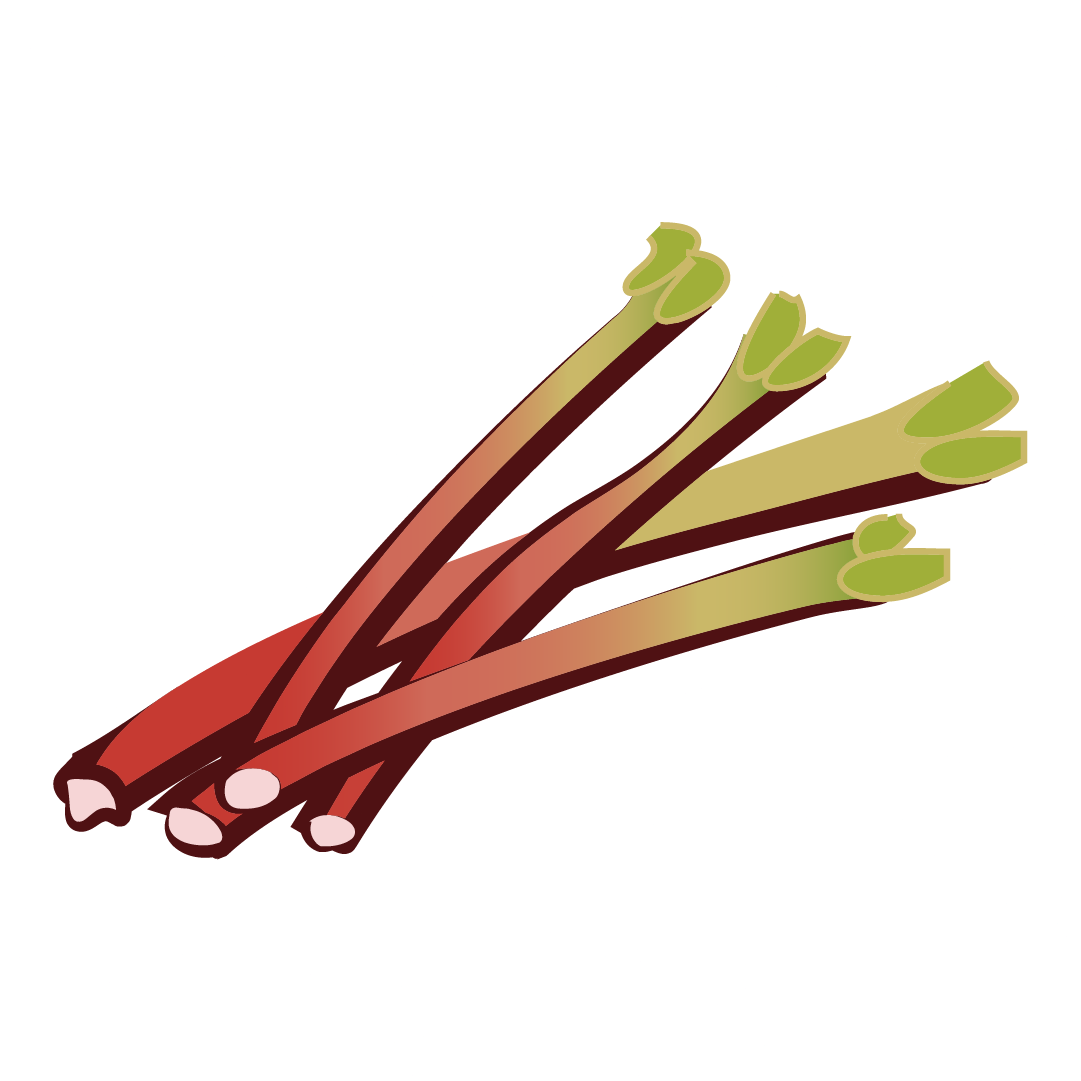 Rhubarbe