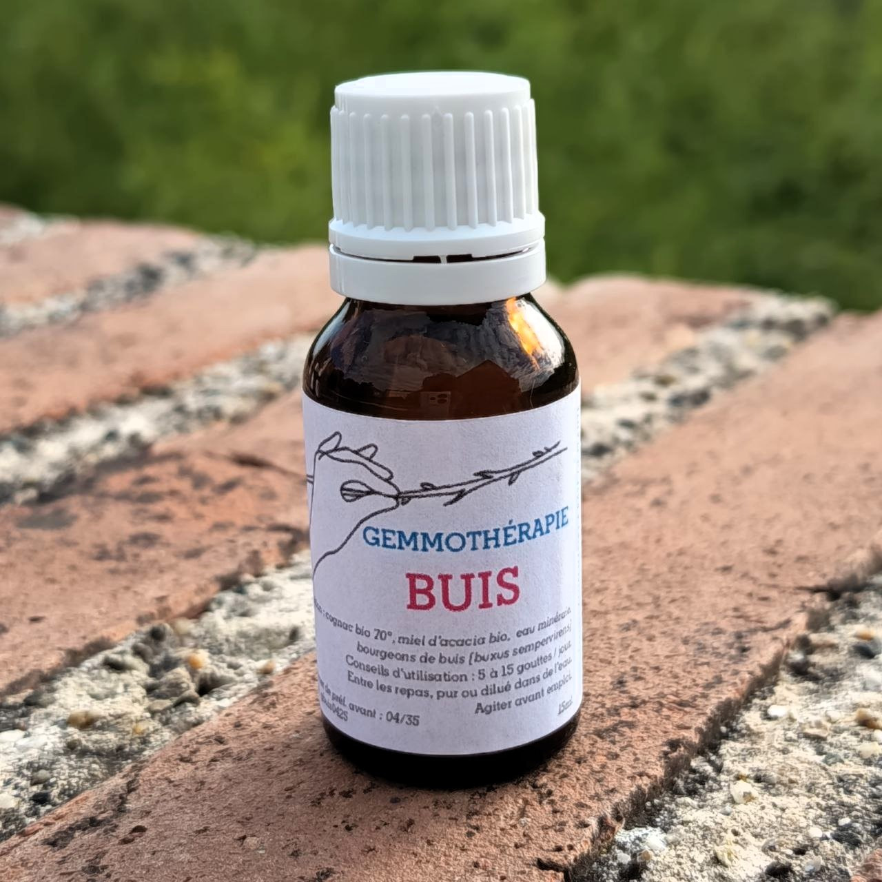 Buis • Antiviral & Muqueuses - 15ml