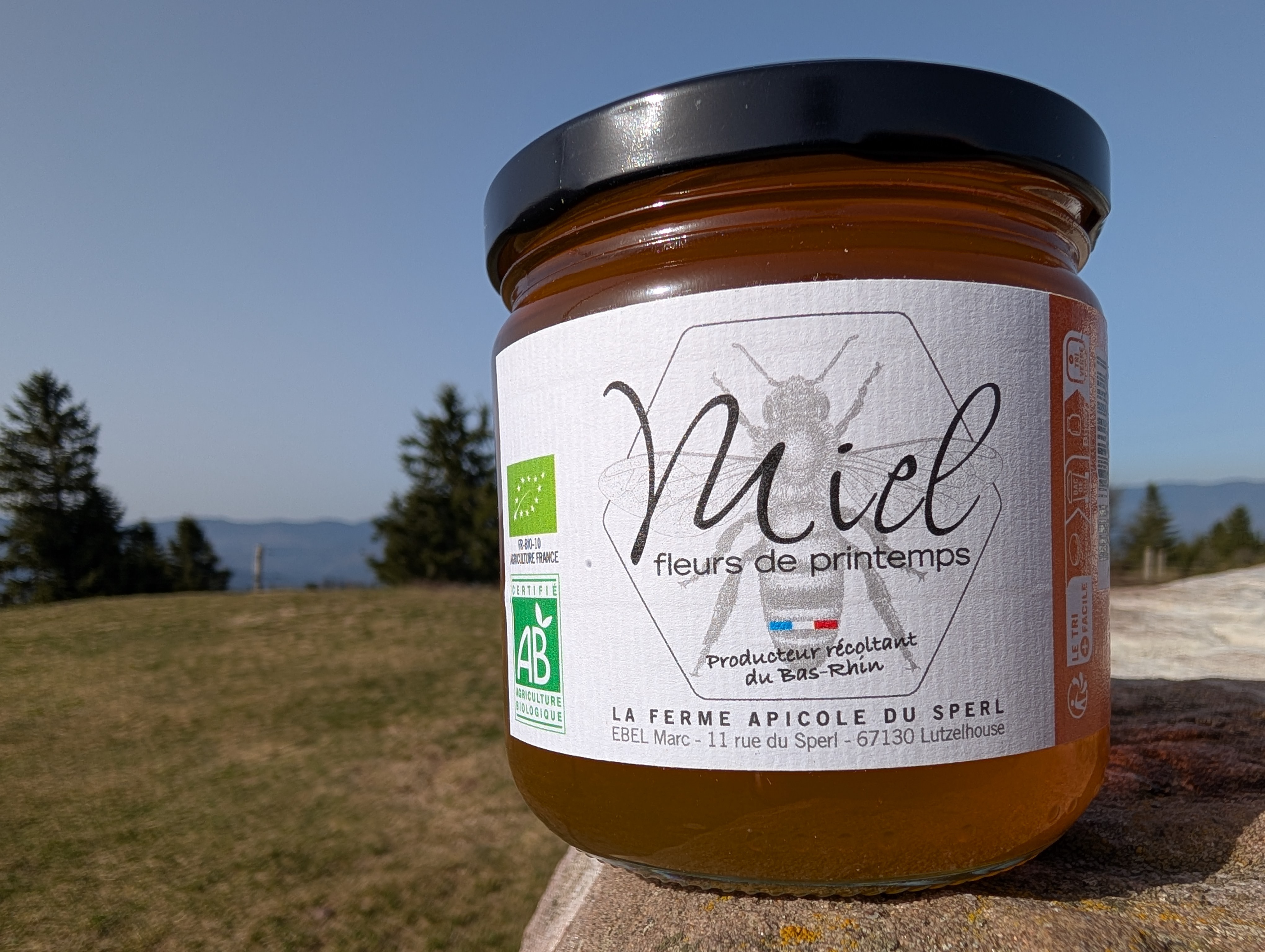 Miel de fleurs de Printemps - 500g