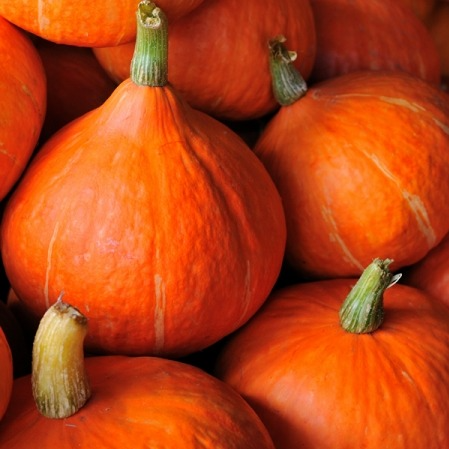 Courge potimarron - 1,2kg
