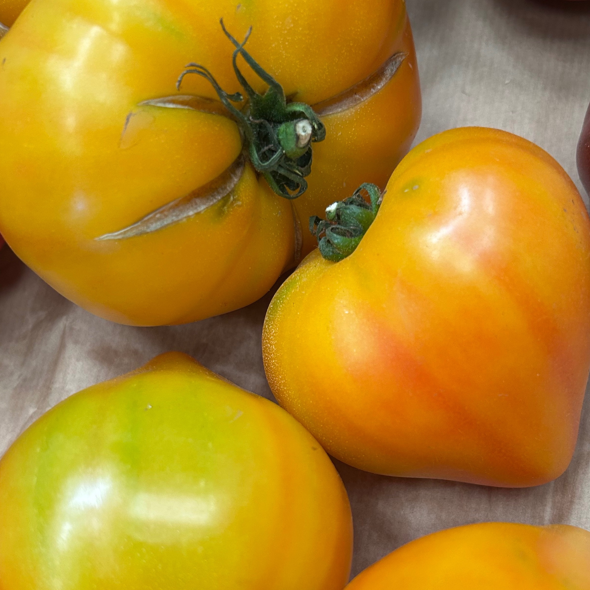 TOMATE JAUNE ananas - FR