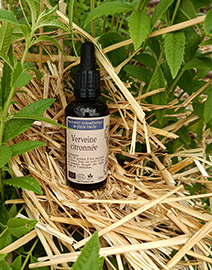 Alcoolature Verveine citronnée - 50ml