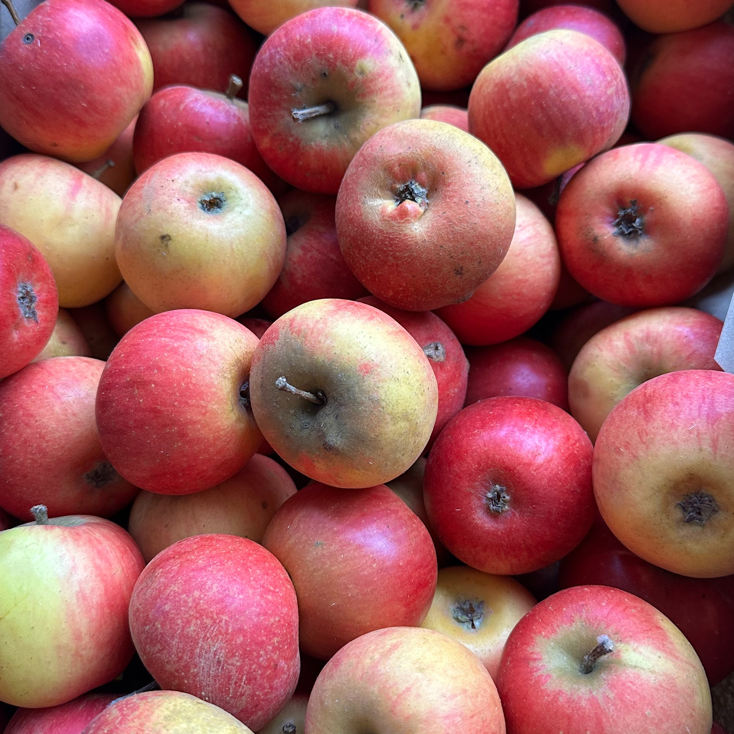 Petites pommes aux couteaux