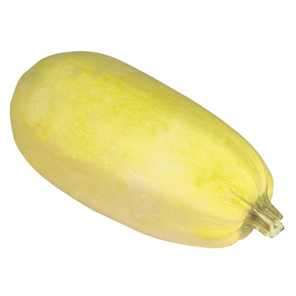 Courge spaghetti