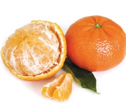 Mandarine ‘Tardivo’