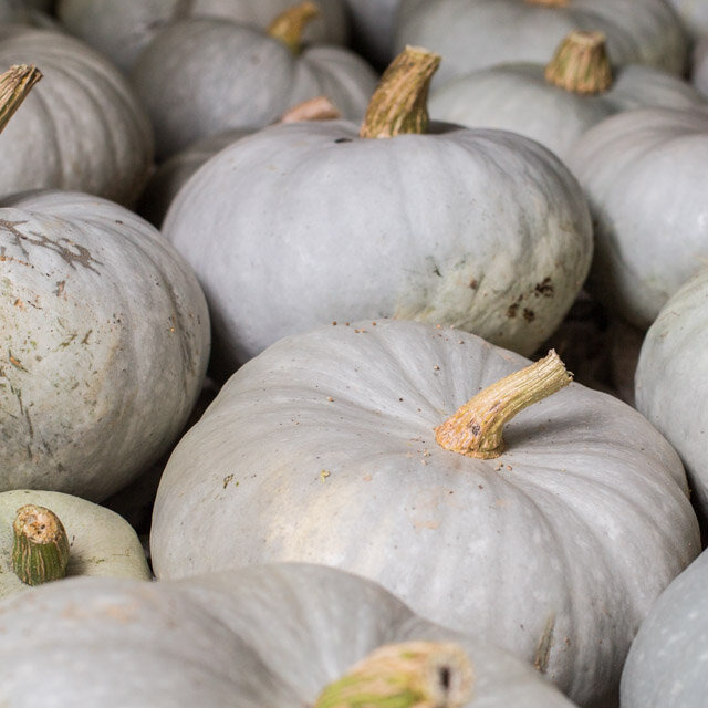 Courge Bleu de Hongrie - 1kg