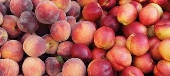 Nectarine et pêche jaune plateau mixé