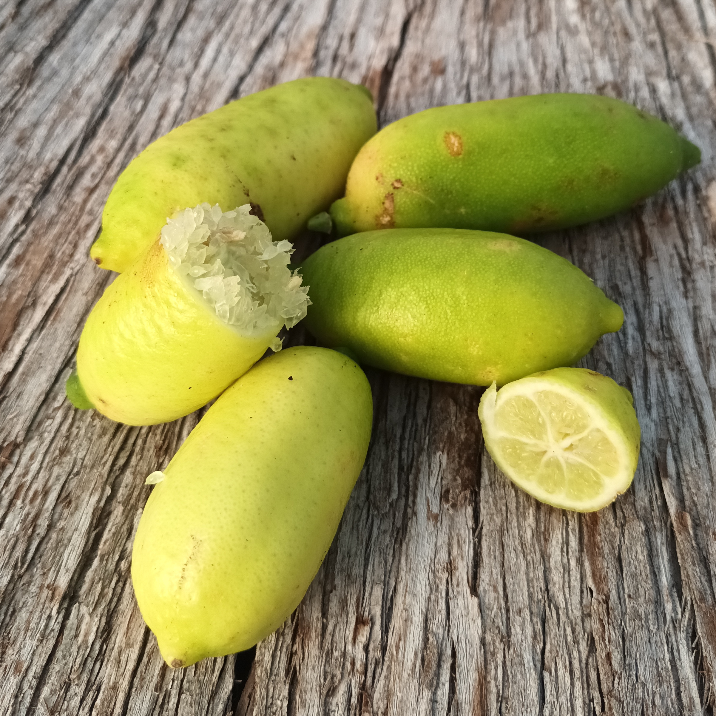 Citron faustrime - 3l