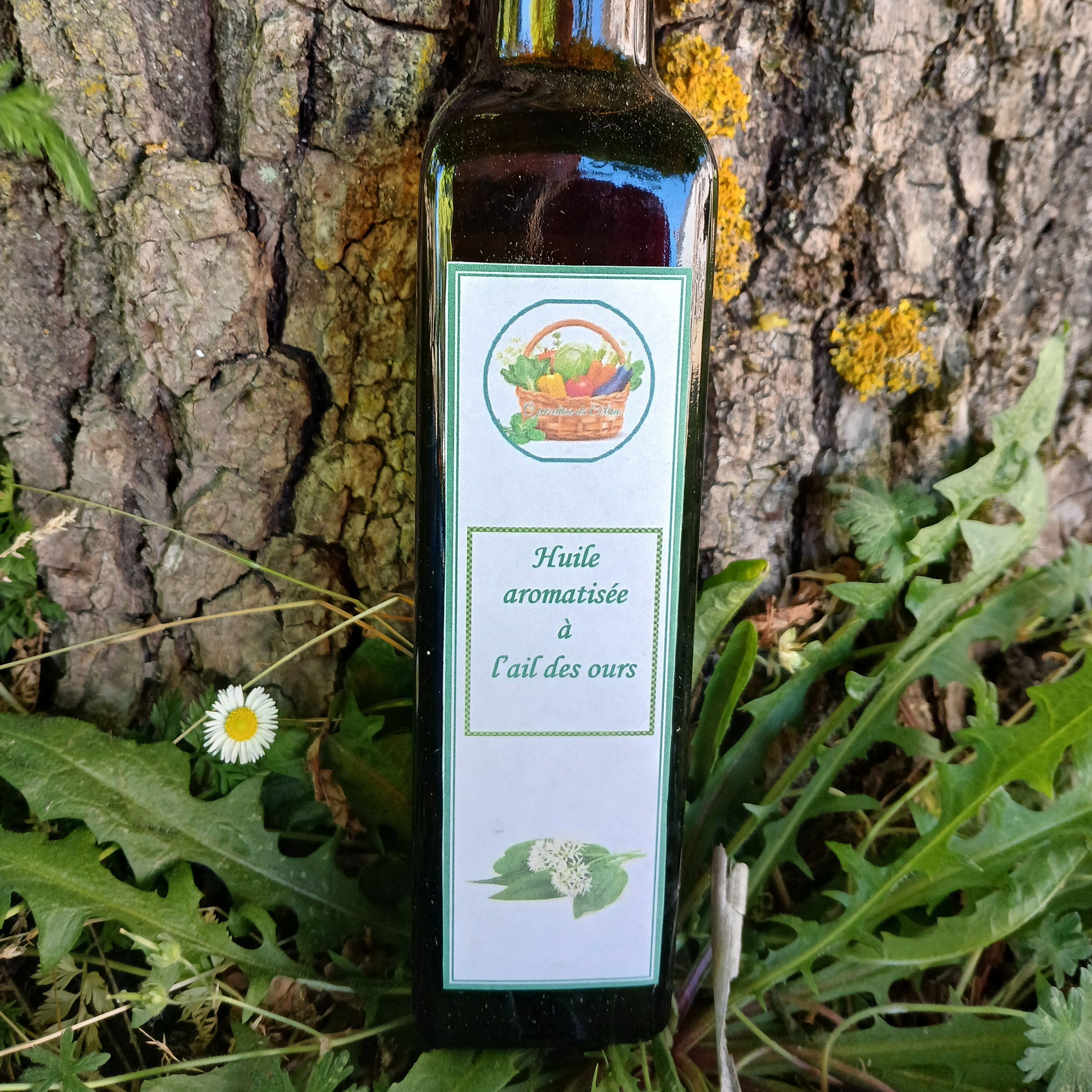 Huile aromatisée à l'ail des ours - 250ml