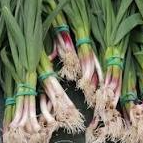 Aillet botte - 0,1kg