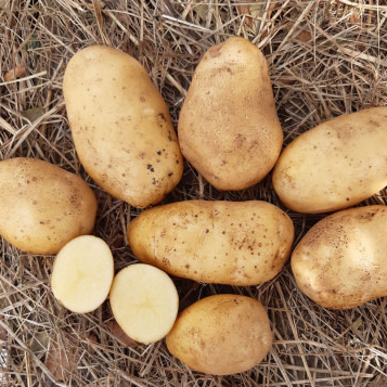 Pommes de Terre - 1kg