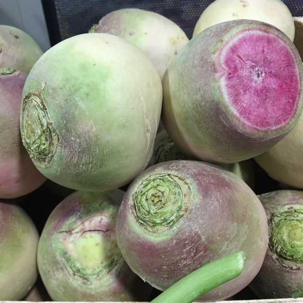 Radis Red Meat