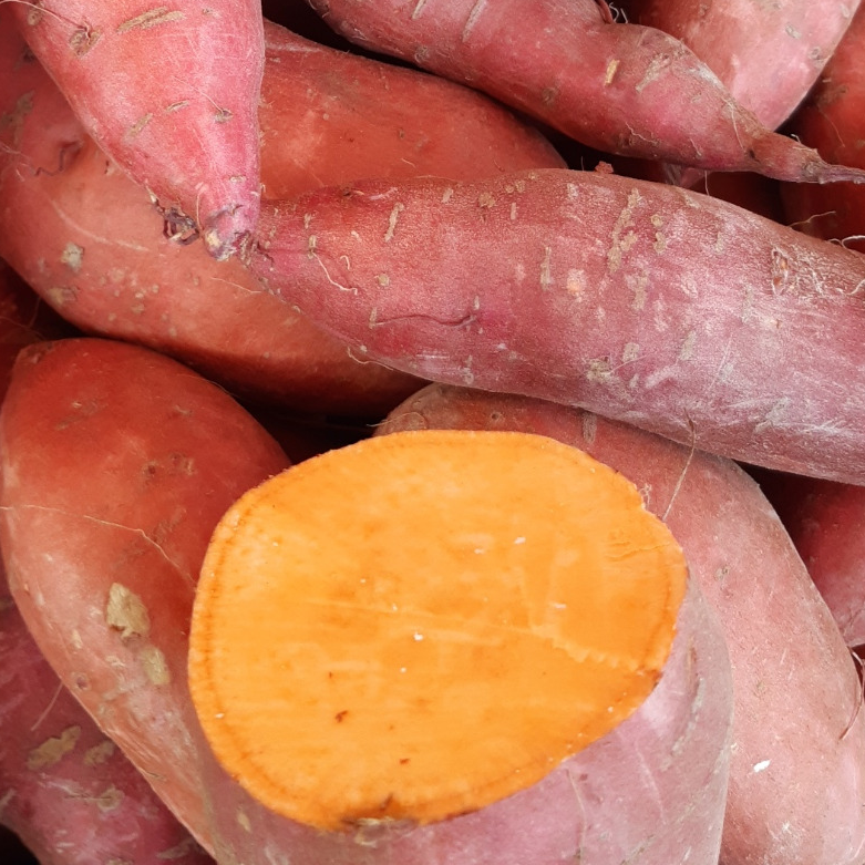 PATATE DOUCE CHAIR ORANGE - 500g