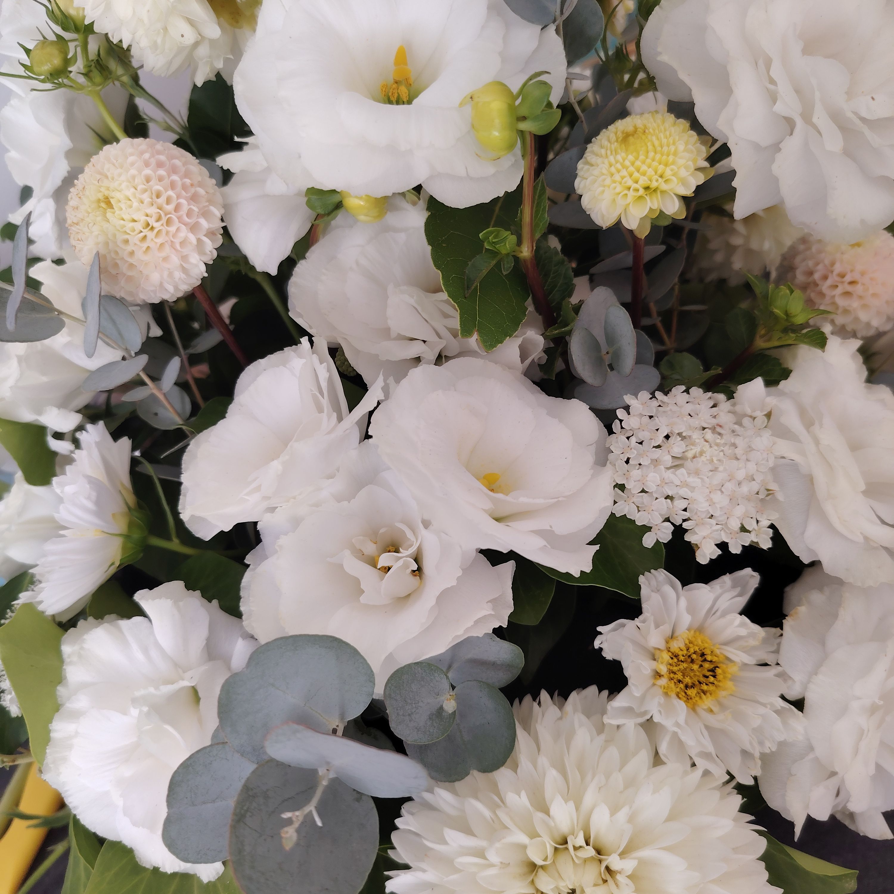 Abonnement fleurs du souvenir 6 fleurissements annuels
