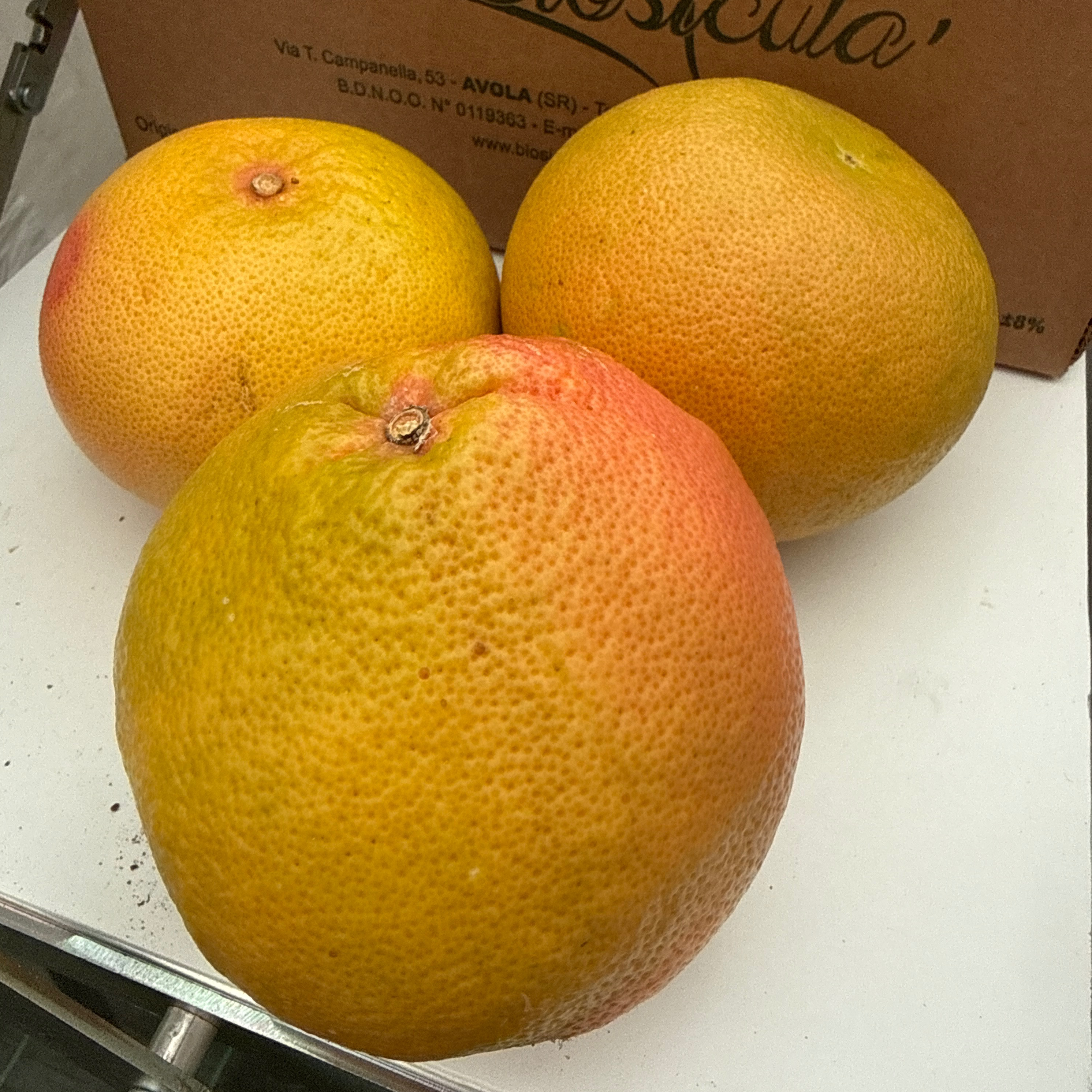 Pamplemousse rose Bio lot de 3