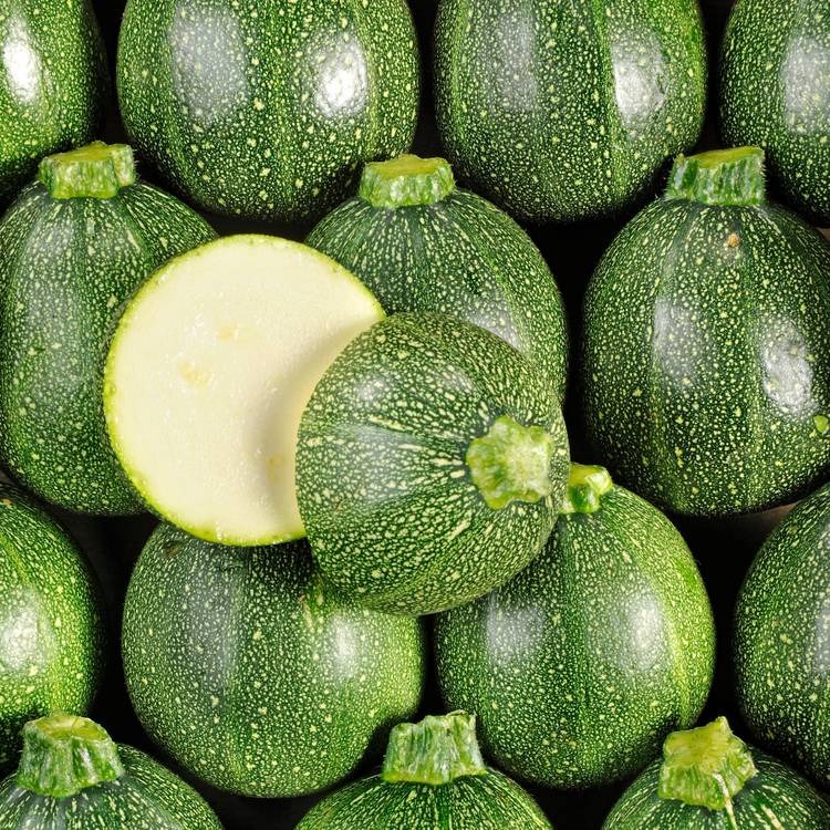 Courgette ronde