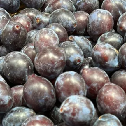 Prune Datil ("mirabelle noire") - 400g