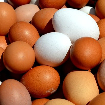 Oeufs bio (les 6)