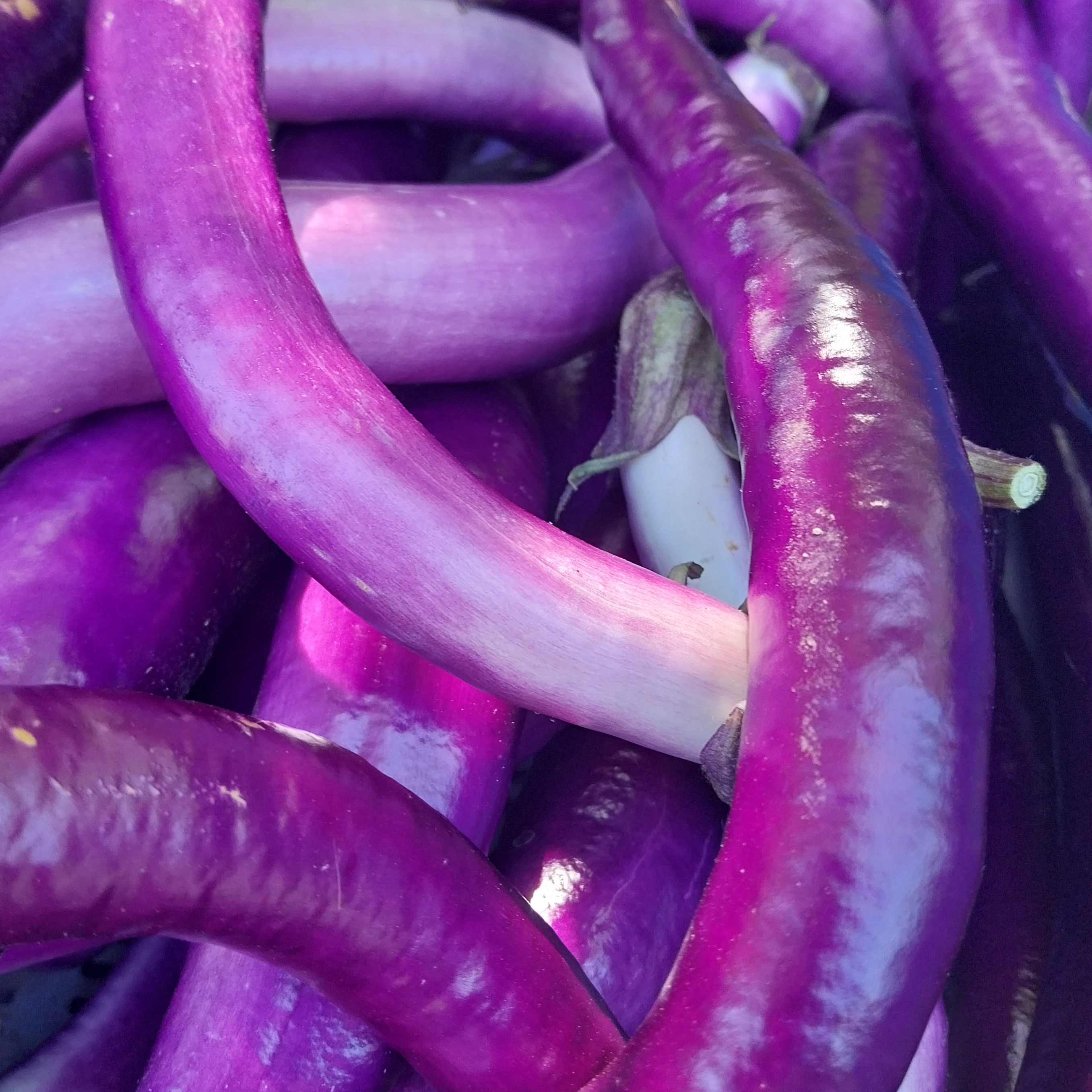 Aubergine (baguette) - 0,2kg