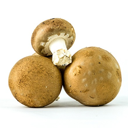 Champignon de Paris Brun - Colis - 2kg