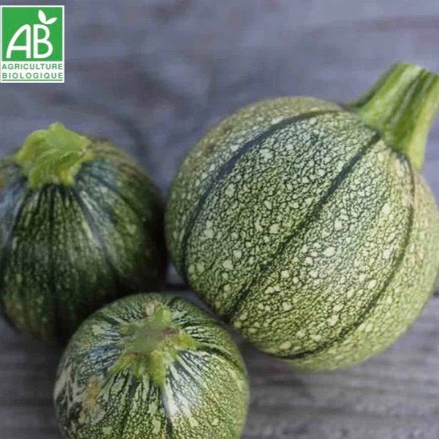Courgettes rondes de Nice