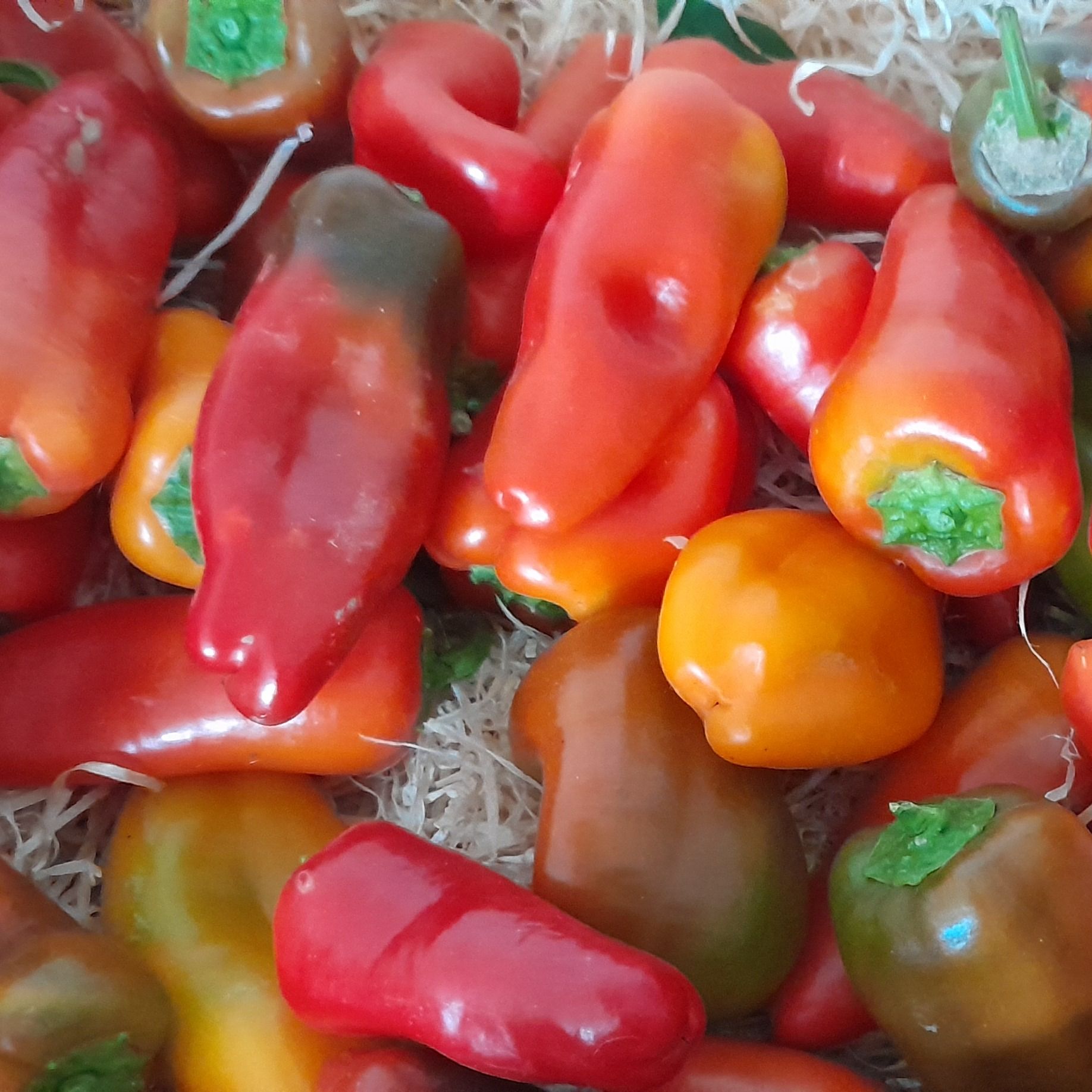 Piment doux