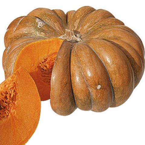 Plant Musquée De Provence - 150g