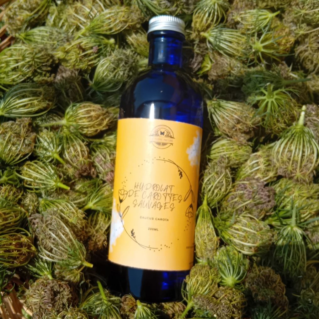 Hydrolat de Carotte Sauvage - 200ml