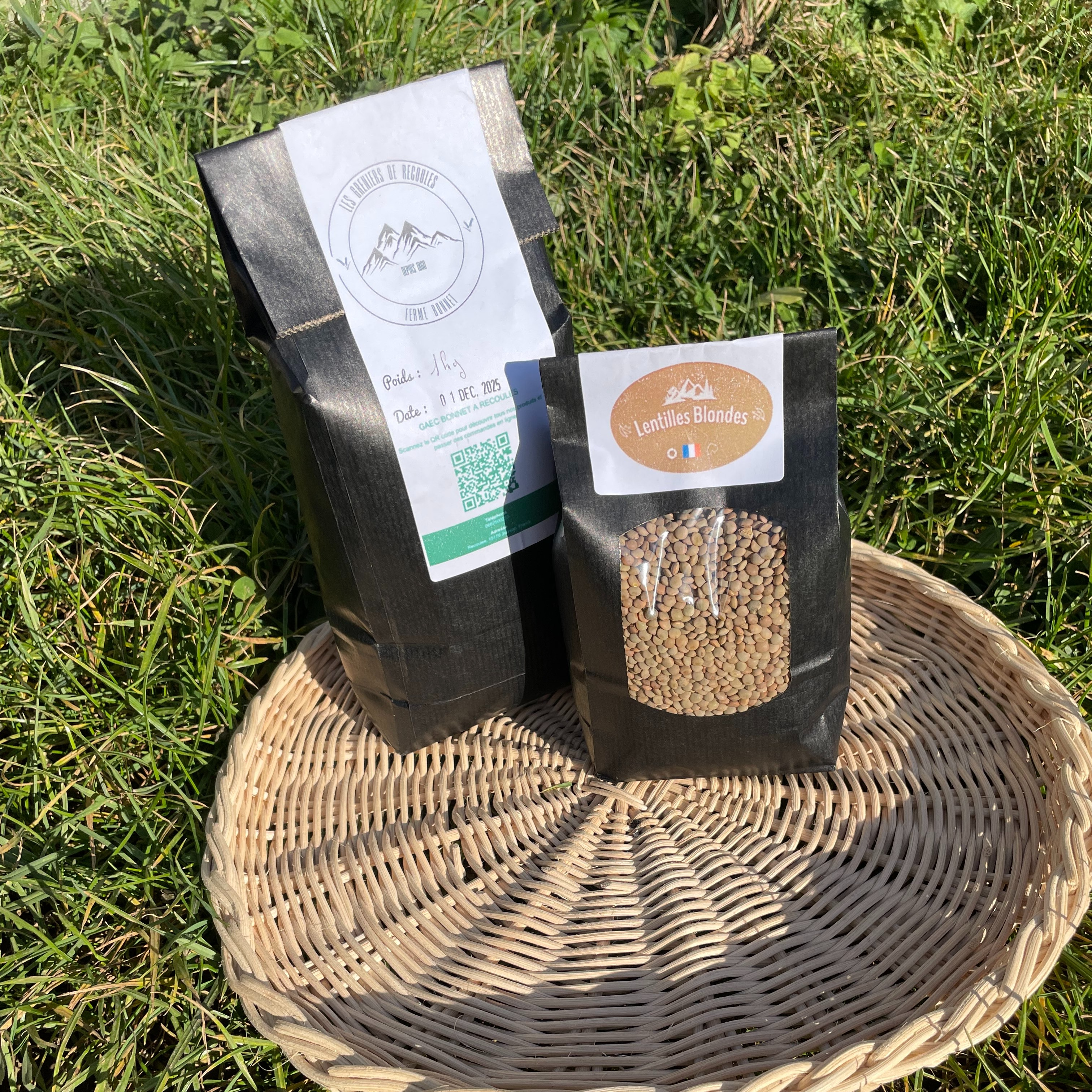 Lentilles Blondes - 500g