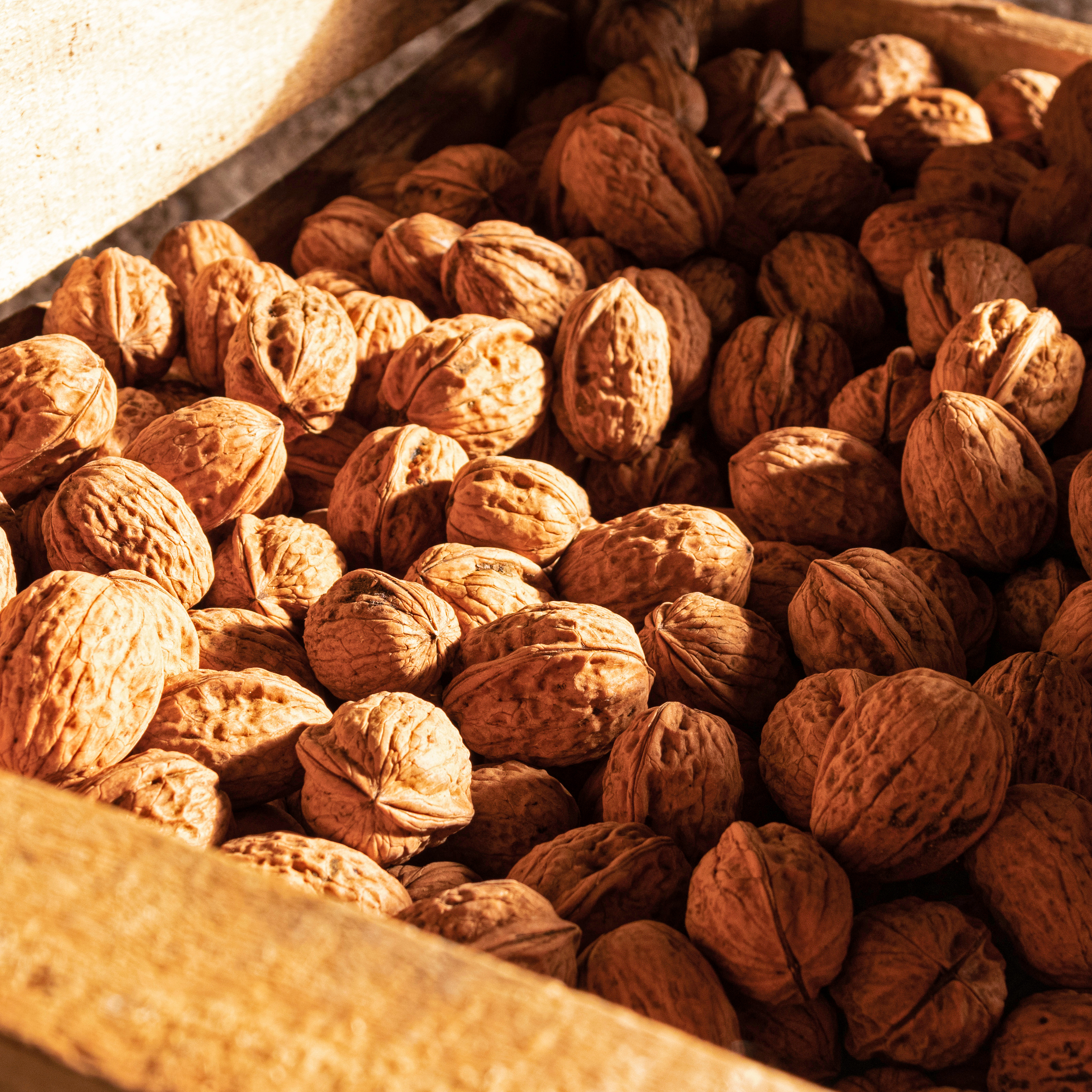 Noix Sèches BIO* en coques VRAC