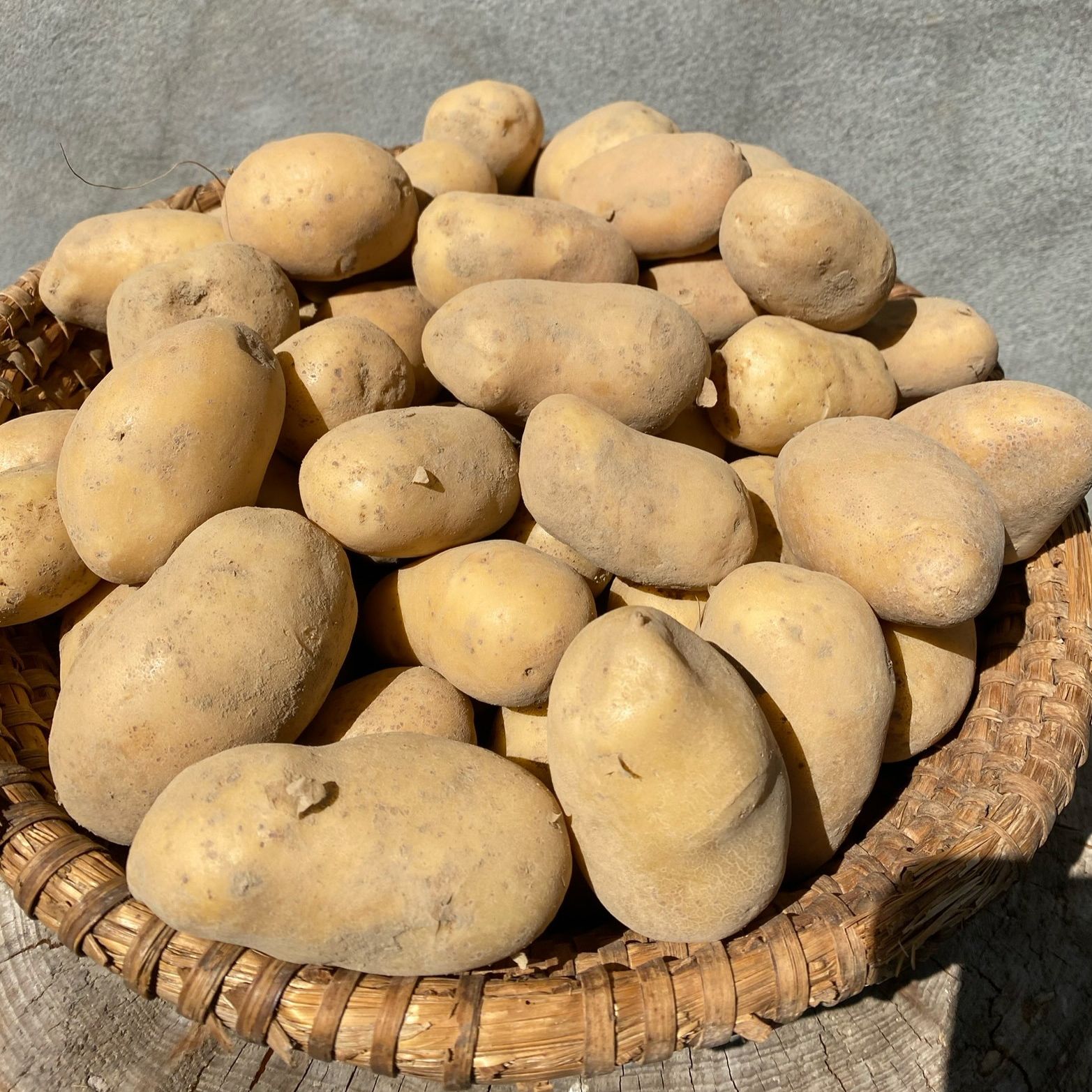 Sac de 5 Kg Pommes de Terre Bio Variété Monalisa Calibre 40/70 - 5kg