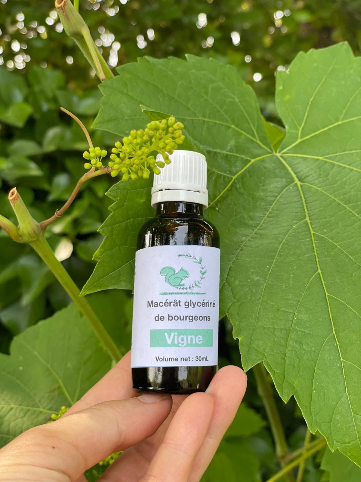 Gemmothérapie Vigne - 30ml