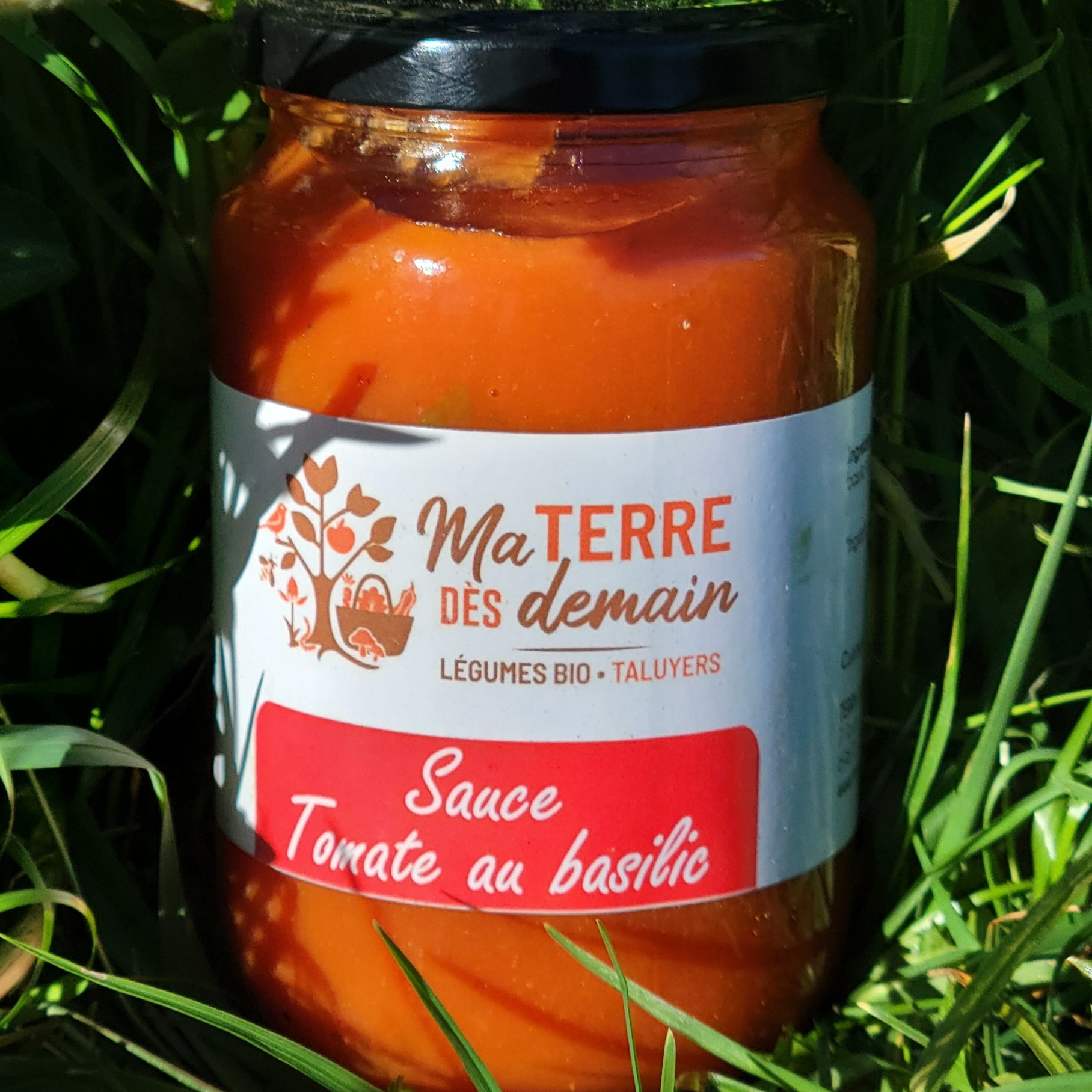 Sauce tomate basilic