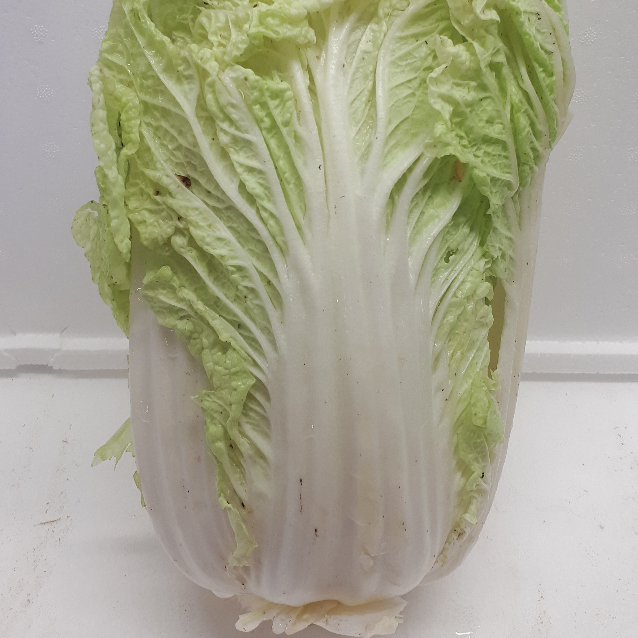 Chou chinois pé-tsaï - 0,6kg