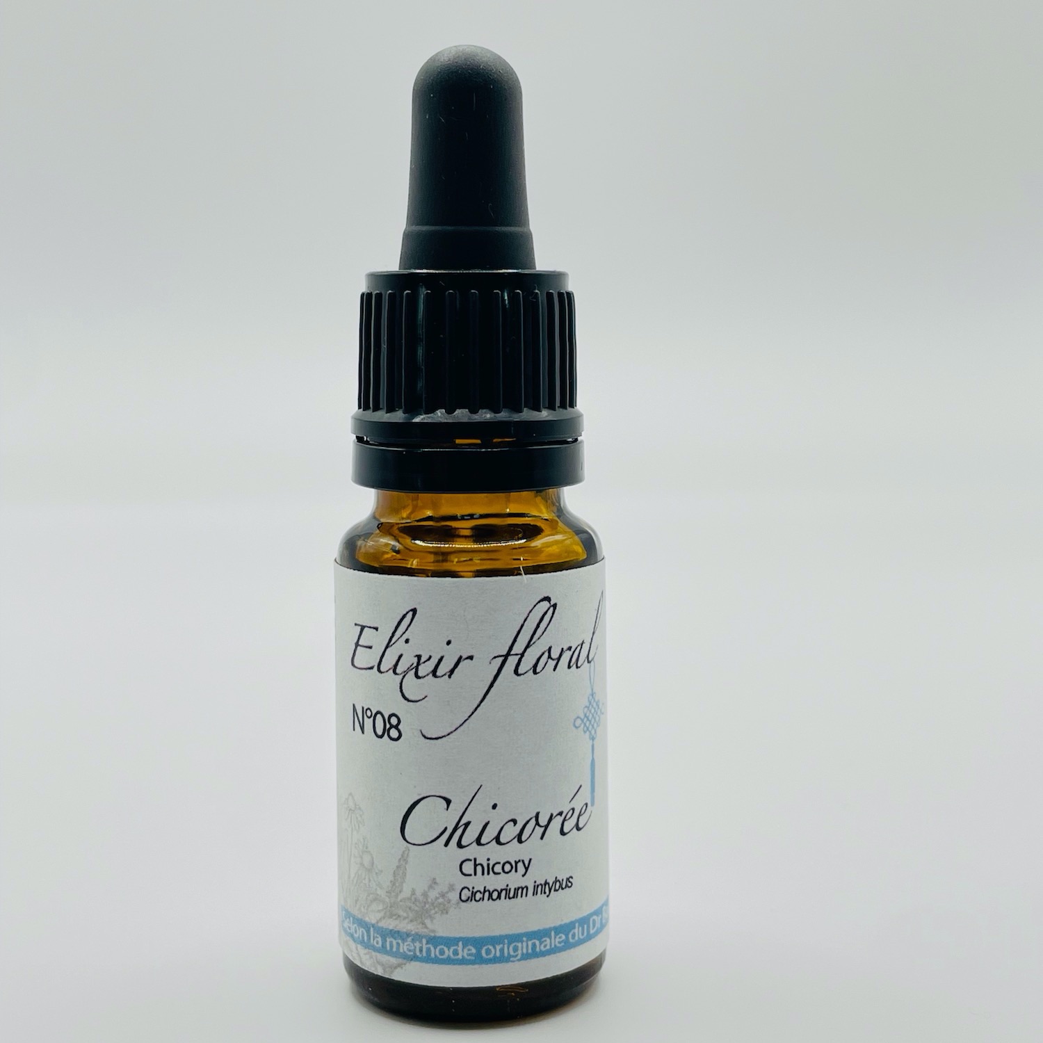 CHICOREE, Cichorium intibus, CHICORY - 08 - 10ml
