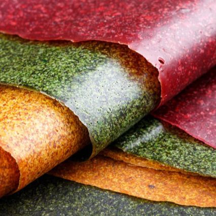 Cuirs de fruits à la spiruline