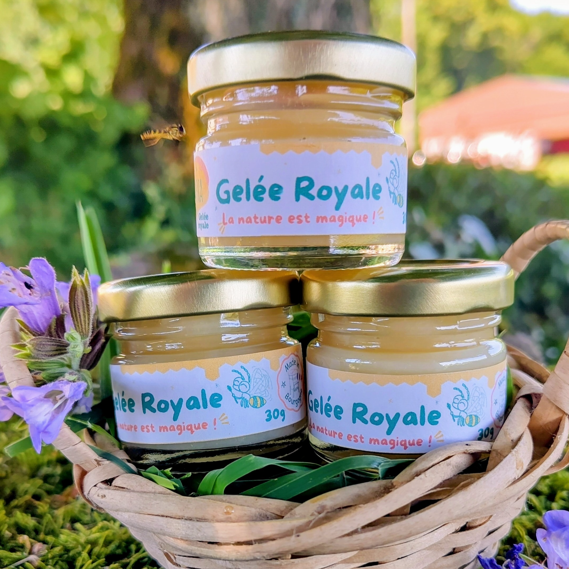 Offre 3 pots : 90g - 300g