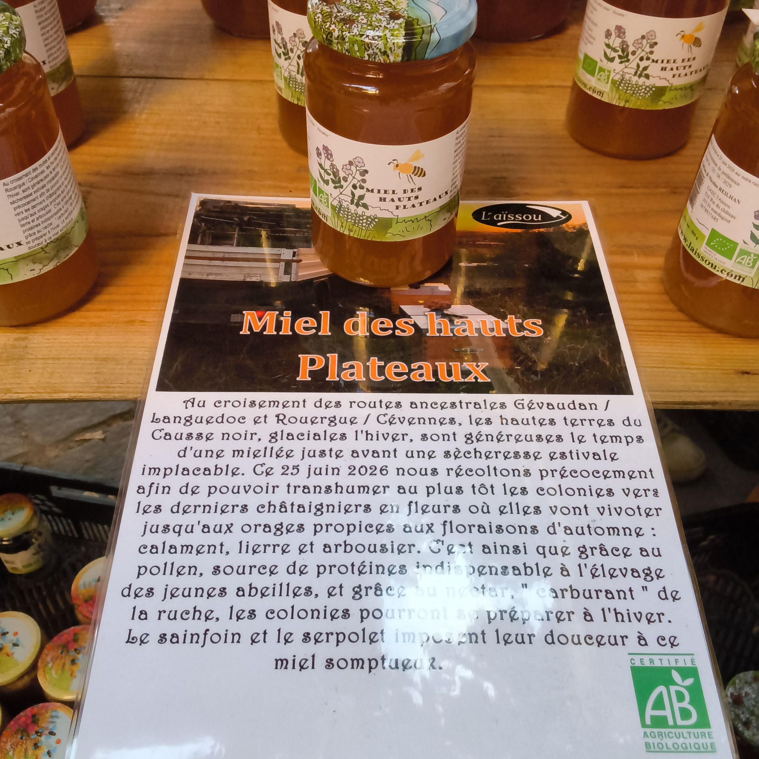 Miel des Hauts Plateaux